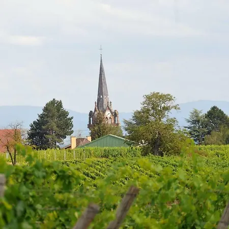 Hébergement de vacances Les Cerisiers Bernardswiller