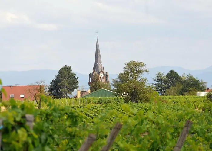 Hébergement de vacances Les Cerisiers Bernardswiller